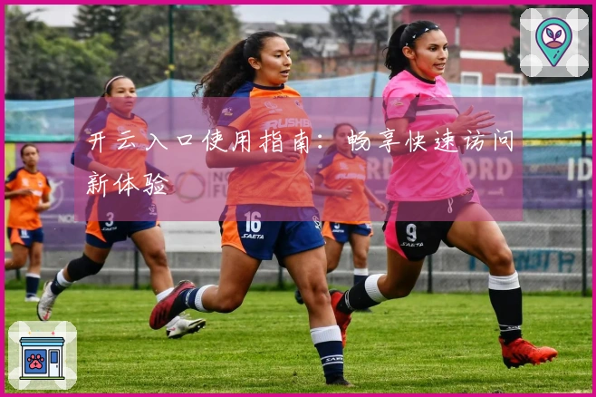 开云入口使用指南：畅享快速访问新体验