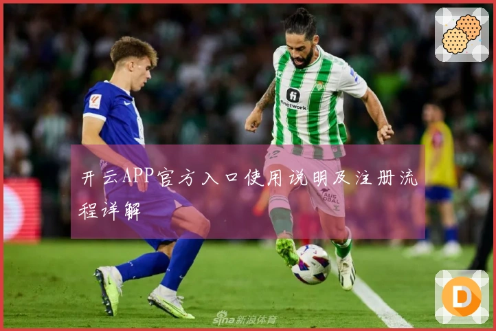 开云APP官方入口使用说明及注册流程详解