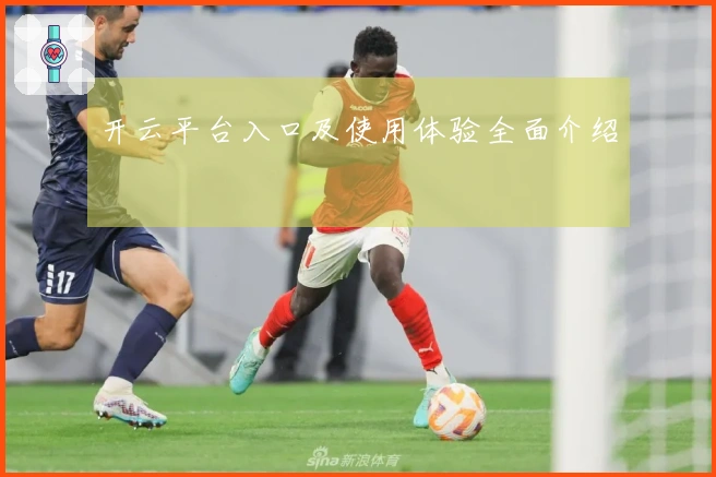 开云平台入口及使用体验全面介绍