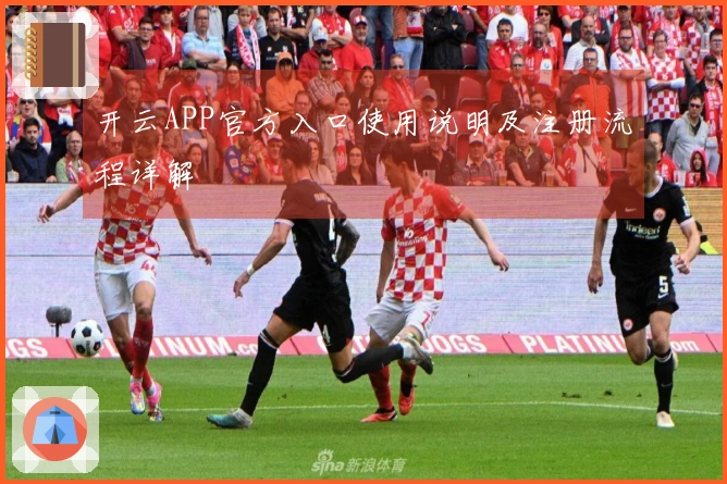 开云APP官方入口使用说明及注册流程详解