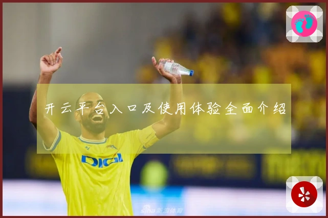 开云平台入口及使用体验全面介绍